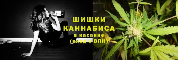 крисы Вязьма
