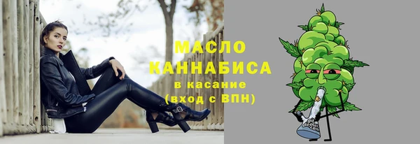 эйфоретик Вяземский