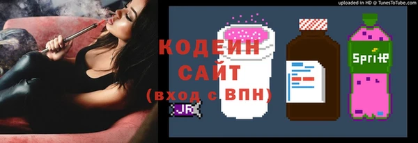 эйфоретик Вяземский