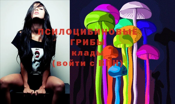 крисы Вязьма