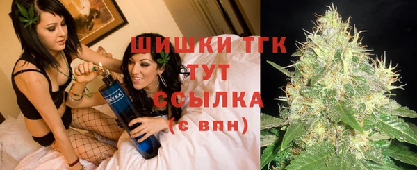 эйфоретик Вяземский