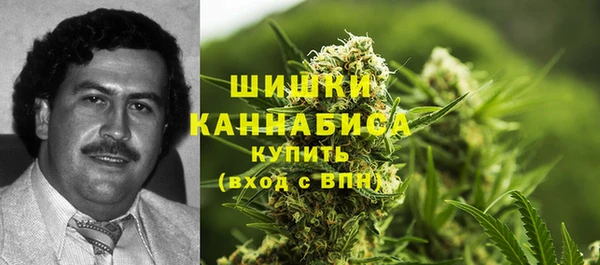 эйфоретик Вяземский