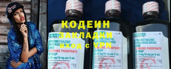 крисы Вязьма