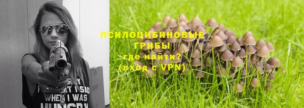 крисы Вязьма