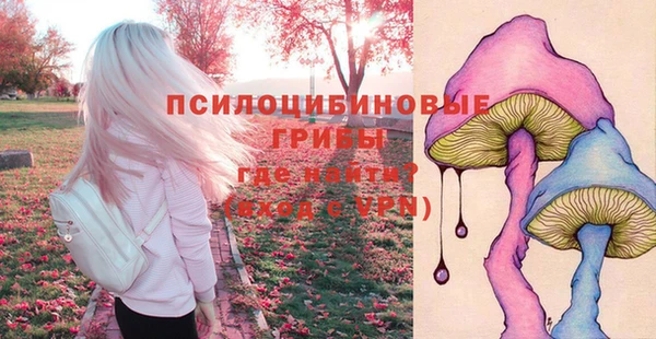 эйфоретик Вяземский