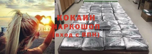 крисы Вязьма