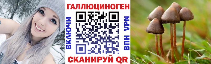 цена   Новороссийск  kraken зеркало  Псилоцибиновые грибы Cubensis 